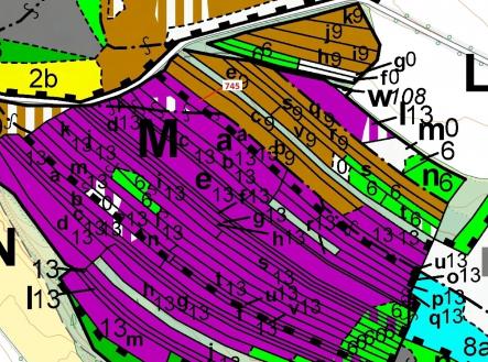 Prodej - pozemek, les, 1 957 m²