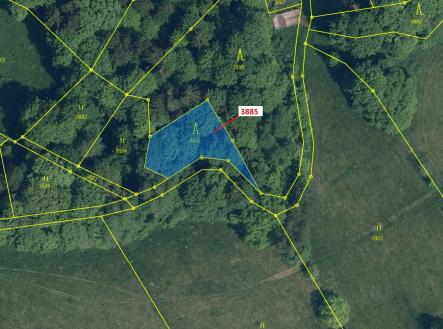 Prodej - pozemek, les, 561 m²