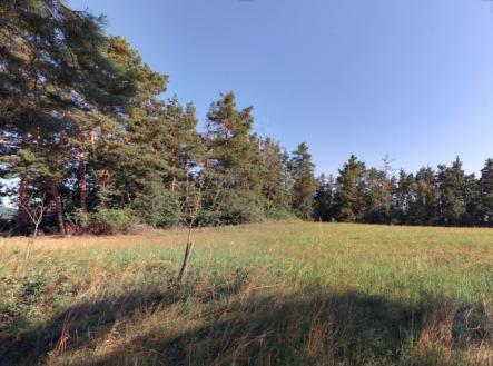 Prodej - pozemek, trvalý travní porost, 1 236 m²