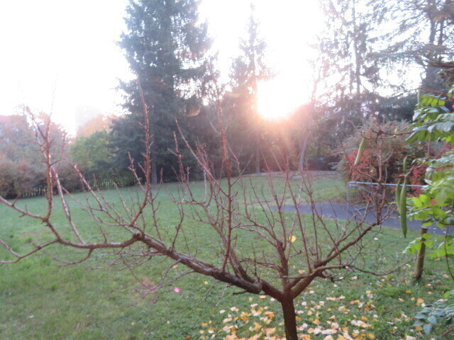 Pozemek o velikosti 877m2, Praha - Lhotka, podíl 56/895, opakovaná dražba