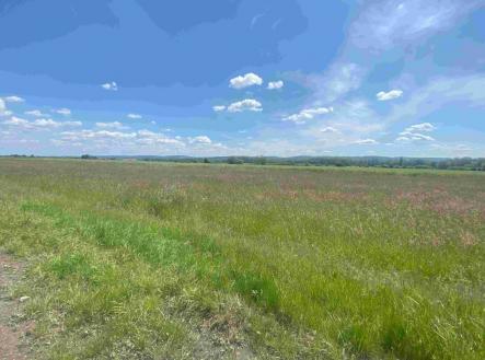 Prodej - pozemek, trvalý travní porost, 2 873 m²