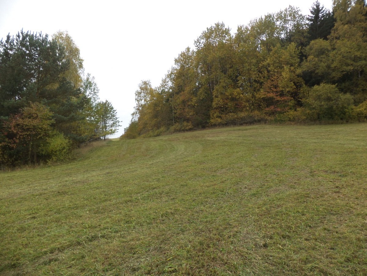 Stavební pozemek o velikosti 4068m2, Stupná