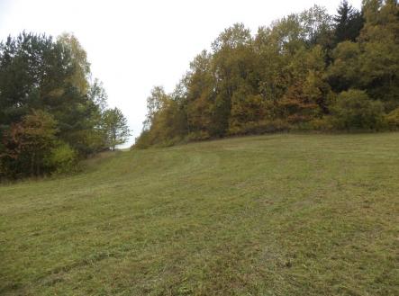 Prodej - pozemek pro bydlení, 4 068 m²