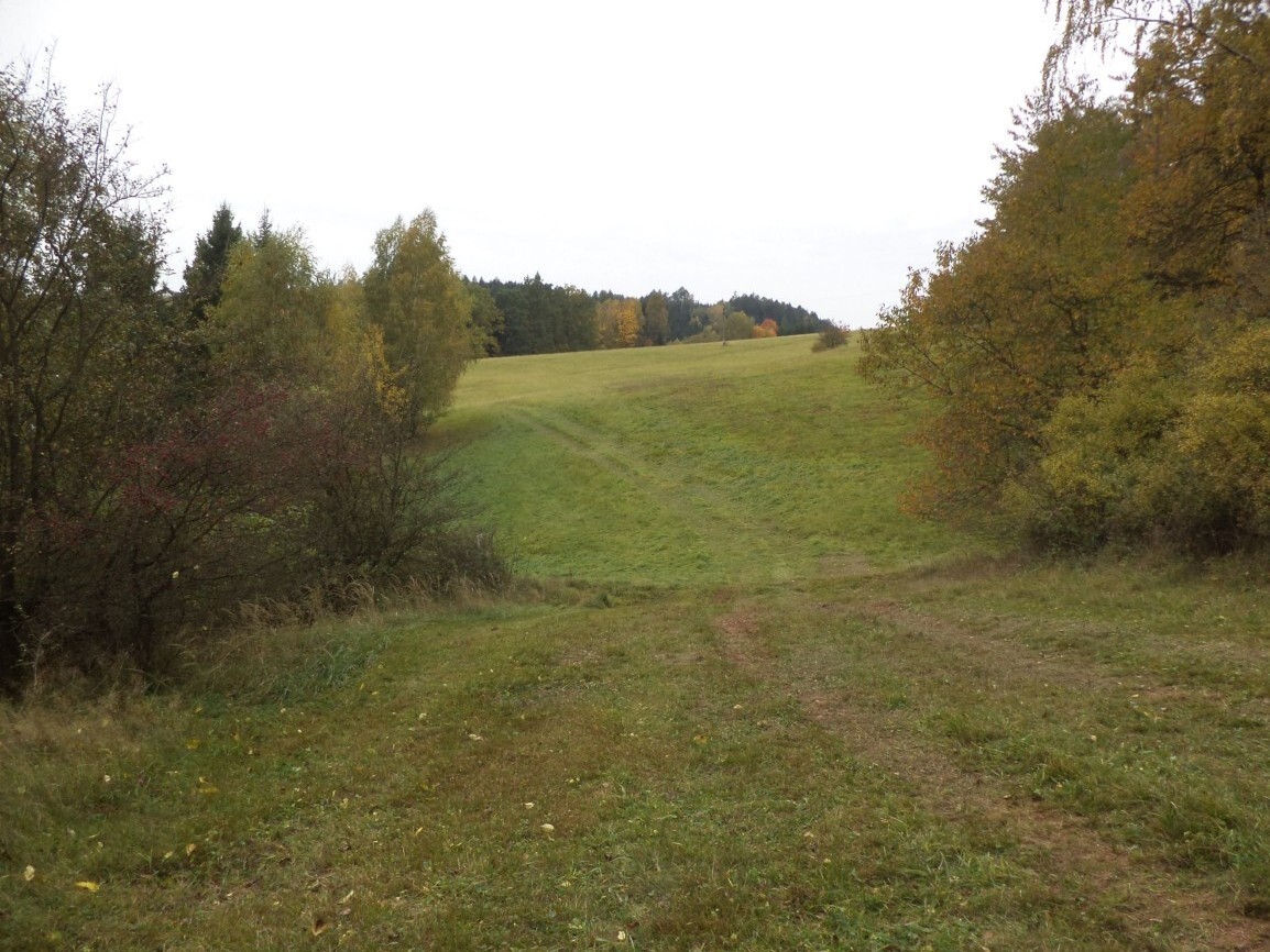 Stavební pozemek o velikosti 4068m2, Stupná