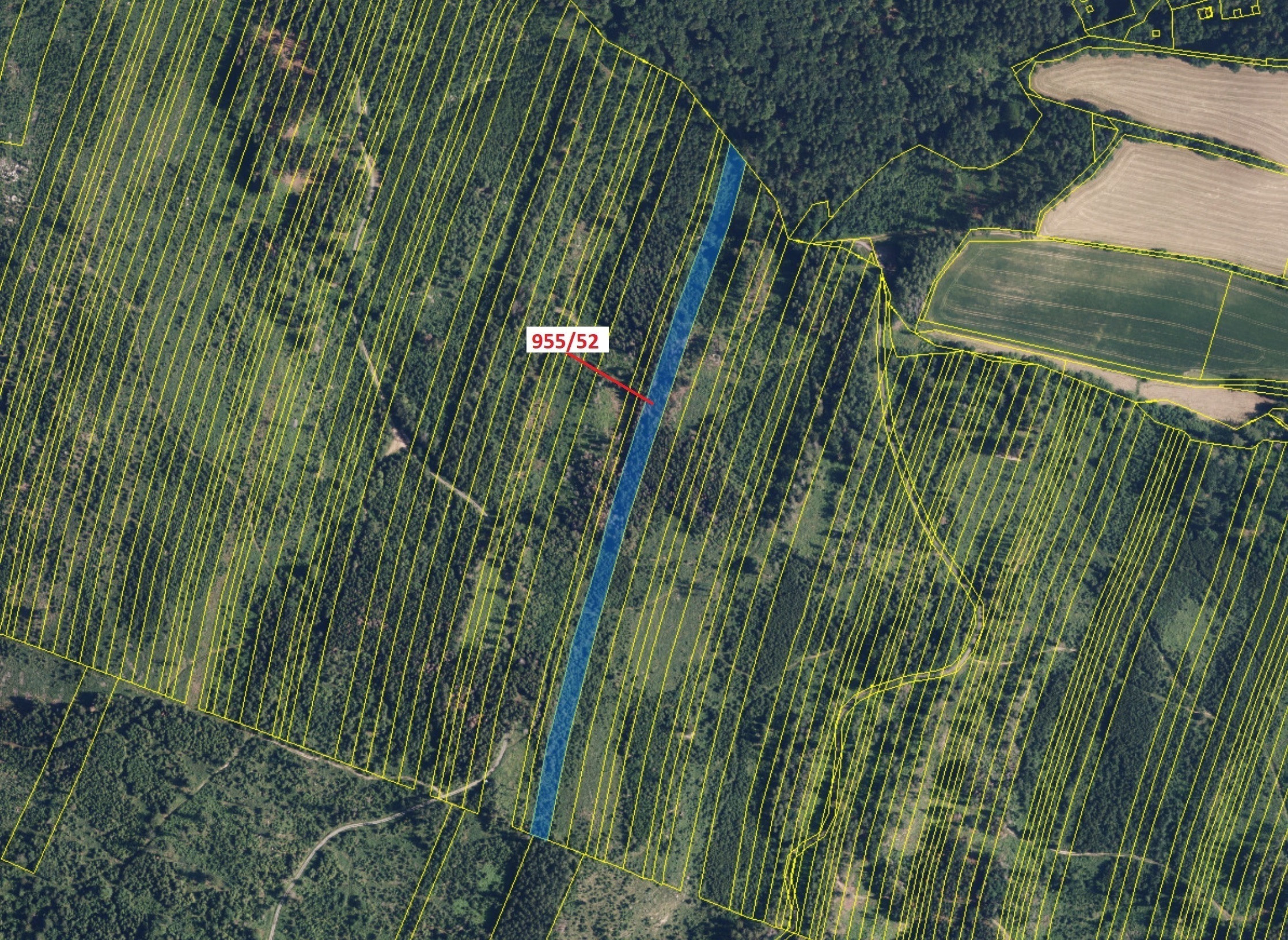 Lesní pozemek o výměře 12 014 m2, podíl 1/1, katastrální území Nová Hradečná, obec Nová Hradečná, ob