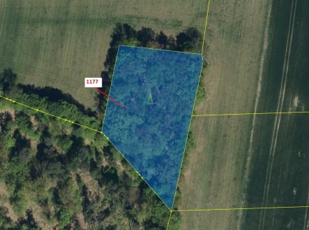 Prodej - pozemek, les, 4 658 m²