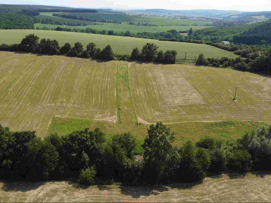Pozemek o velikosti 30313m2, Dobrkovice