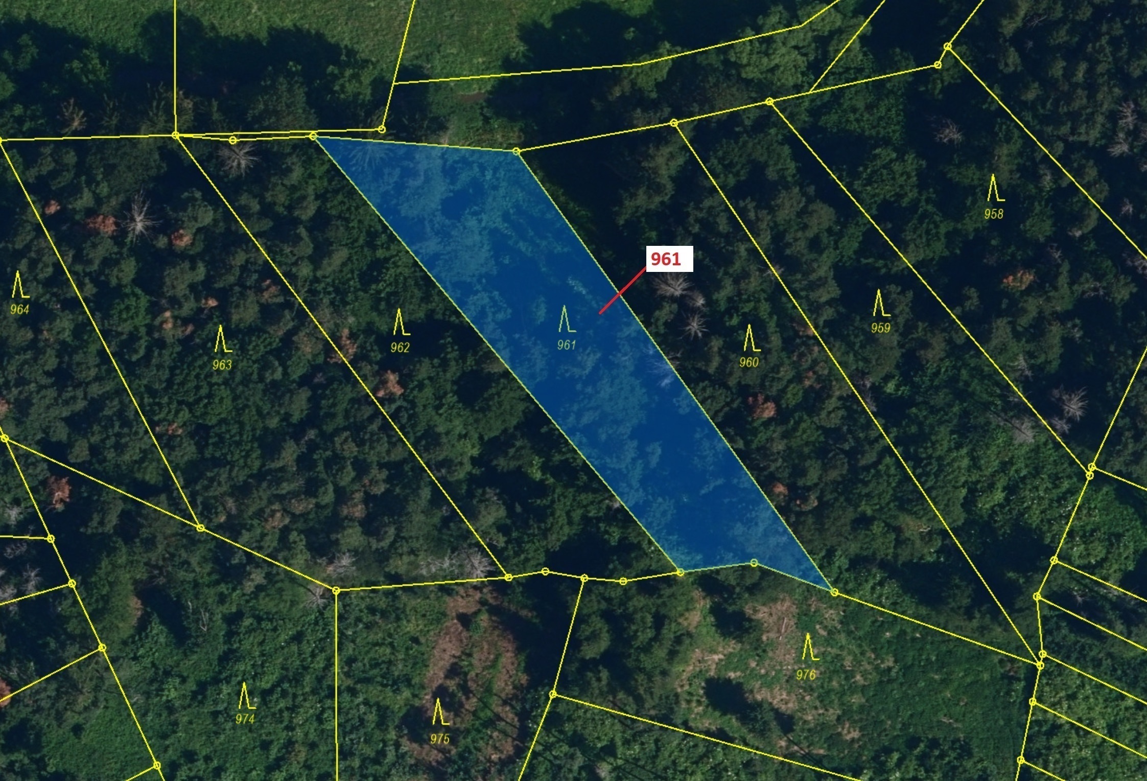 Lesní pozemek o výměře 1736 m2, podíl 1/1, katastrální území Mladoňovice na Moravě, obec Mladoňovice