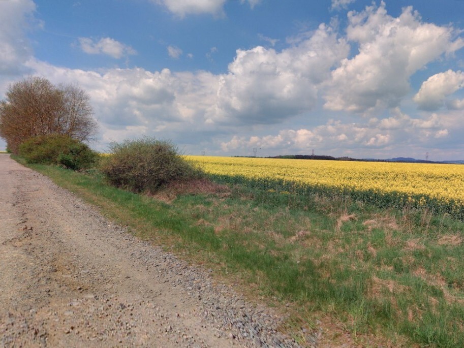 Pozemek o velikosti 6401m2, Cebiv