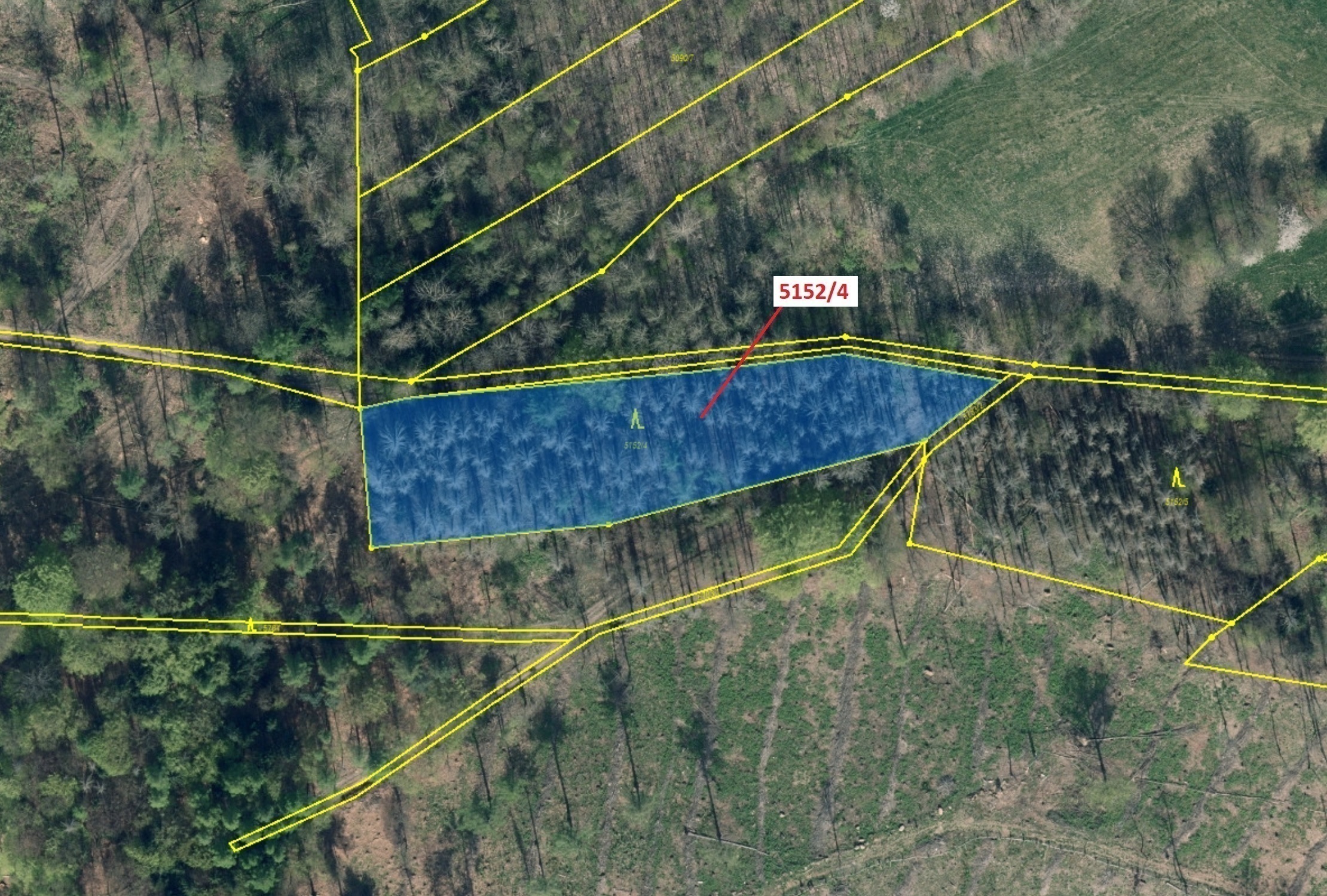 Lesní pozemek o výměře 3 638 m2, podíl 1/1, katastrální území Mikulášovice, obec Mikulášovice, obec 