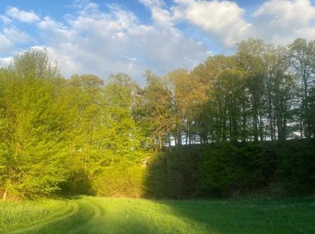 Prodej - pozemek, trvalý travní porost, 3 829 m²