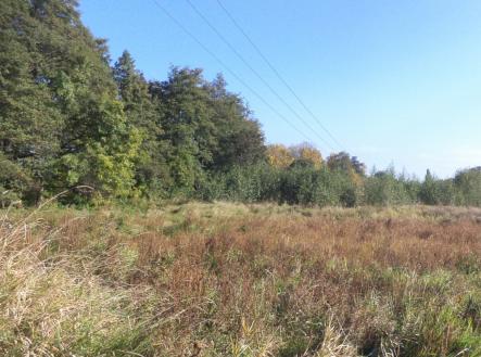 Prodej - pozemek, trvalý travní porost, 2 352 m²