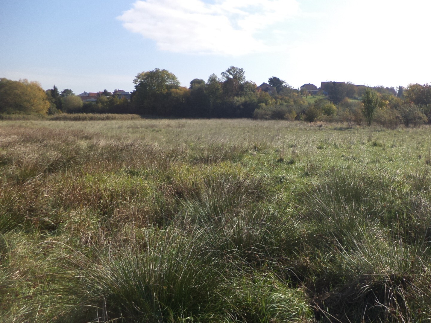 Pozemek o velikosti 2352m2, Jakub