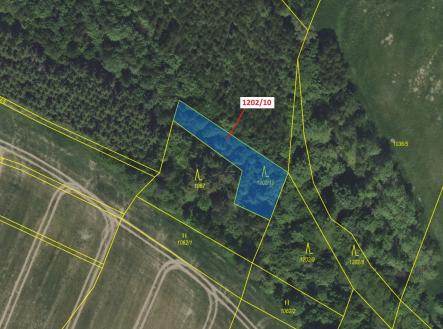 Prodej - pozemek, les, 557 m²
