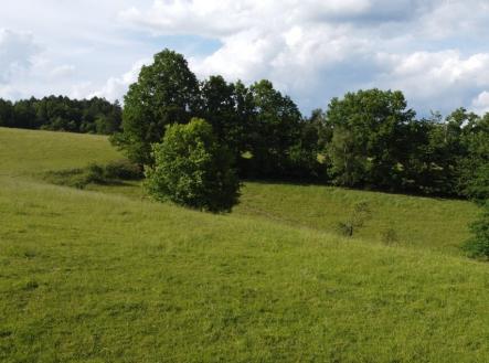 Prodej - pozemek, trvalý travní porost, 2 481 m²