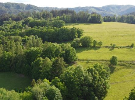 Prodej - pozemek, trvalý travní porost, 2 481 m²