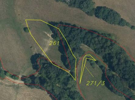 Prodej - pozemek, trvalý travní porost, 2 481 m²