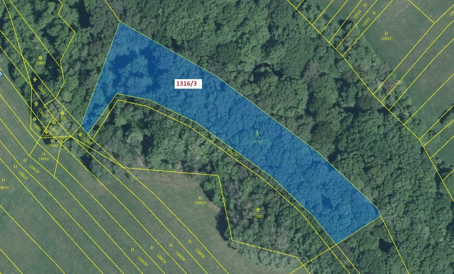 Lesní pozemek o výměře 5461 m2, podíl 1/1, katastrální území Velký Ořechov, obec Velký Ořechov, obec