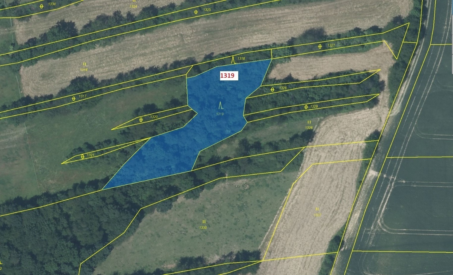 Lesní pozemek o výměře 2439 m2, podíl 1/1, katastrální území Kletné, obec Suchdol nad Odrou, obec s 