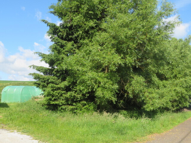 Dražba zahrady v obci Otročín, okres Karlovy Vary, opakovaná dražba