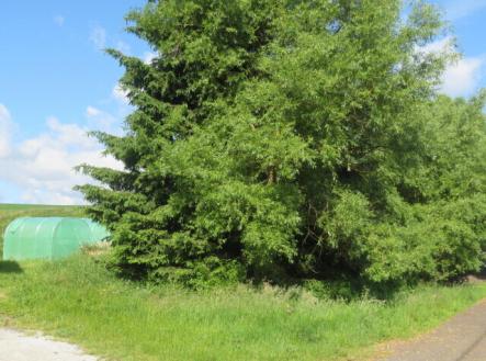 Prodej - pozemek, zahrada, 265 m²