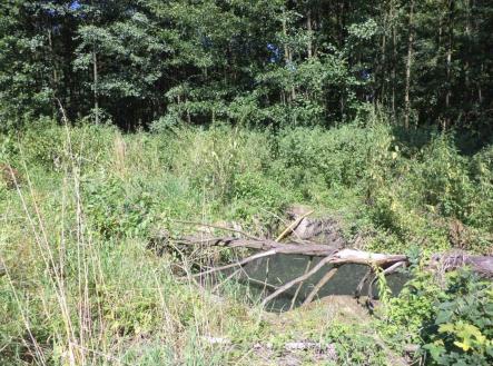 Prodej - pozemek, ostatní, 4 529 m²