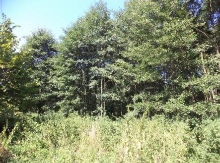 Prodej - pozemek, ostatní, 4 529 m²