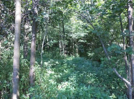 Prodej - pozemek, ostatní, 4 529 m²