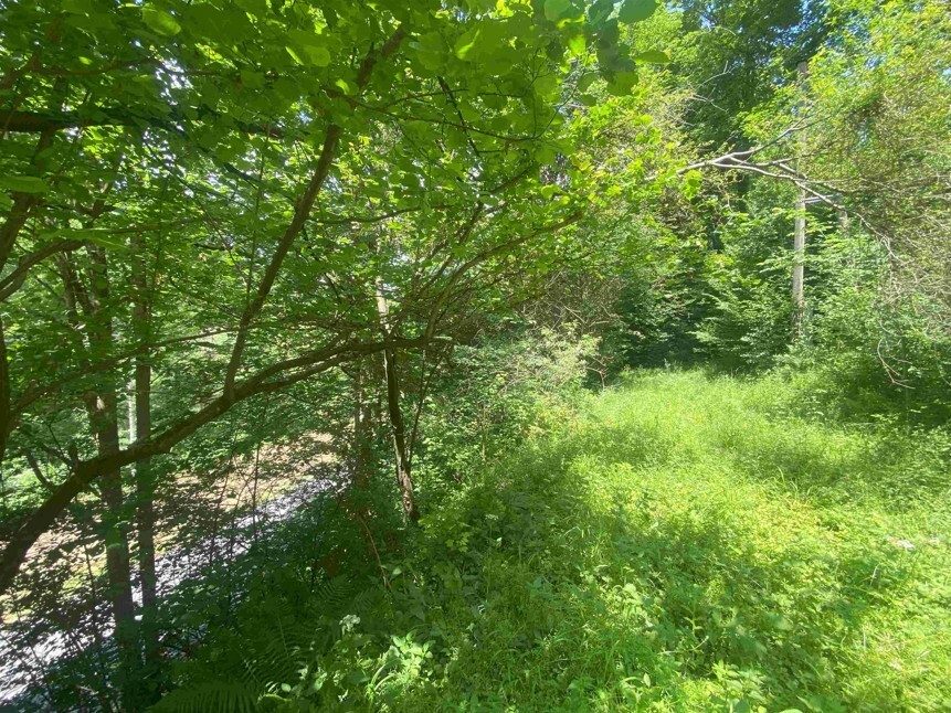 Pozemek o velikosti 933m2, Malá Bystřice