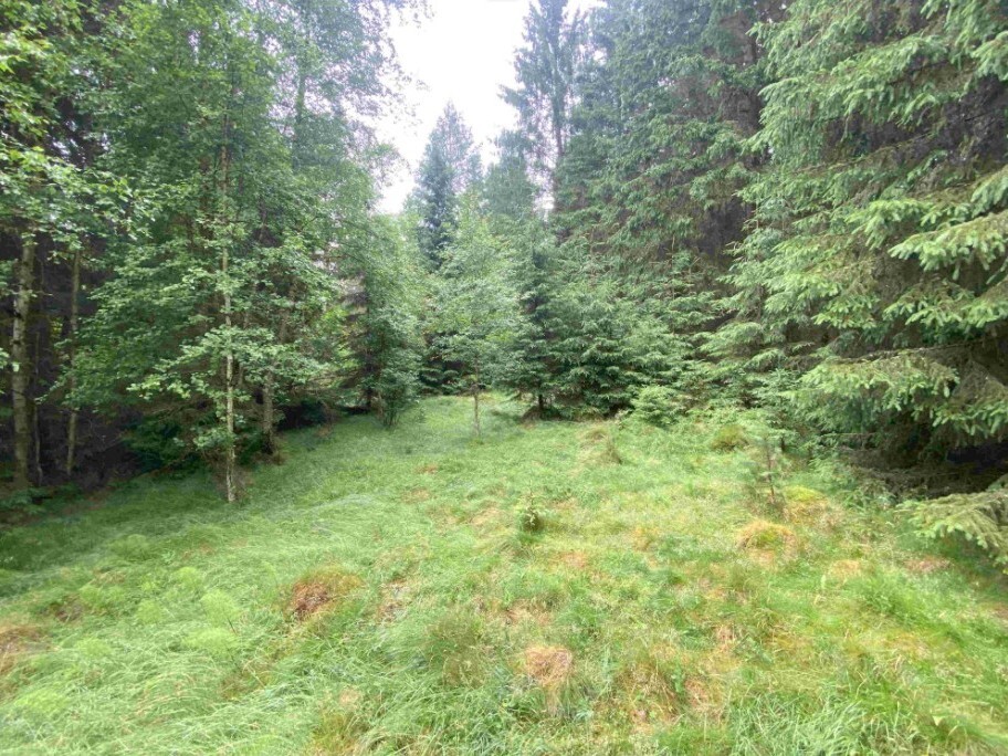 Pozemek o velikosti 10460m2,  Újezd u Krásné