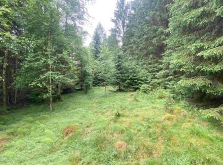 Prodej - pozemek, trvalý travní porost, 10 460 m²