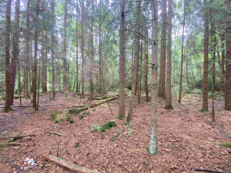 Pozemek o velikosti 10460m2,  Újezd u Krásné