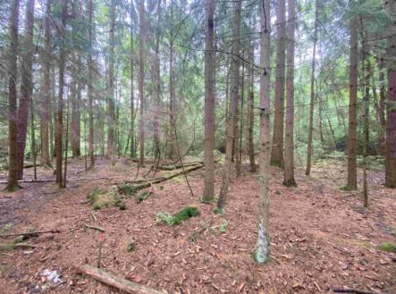 Prodej - pozemek, trvalý travní porost, 10 460 m²