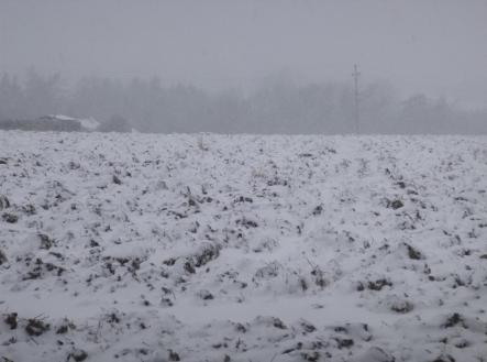 Prodej - pozemek, zemědělská půda, 1 638 m²