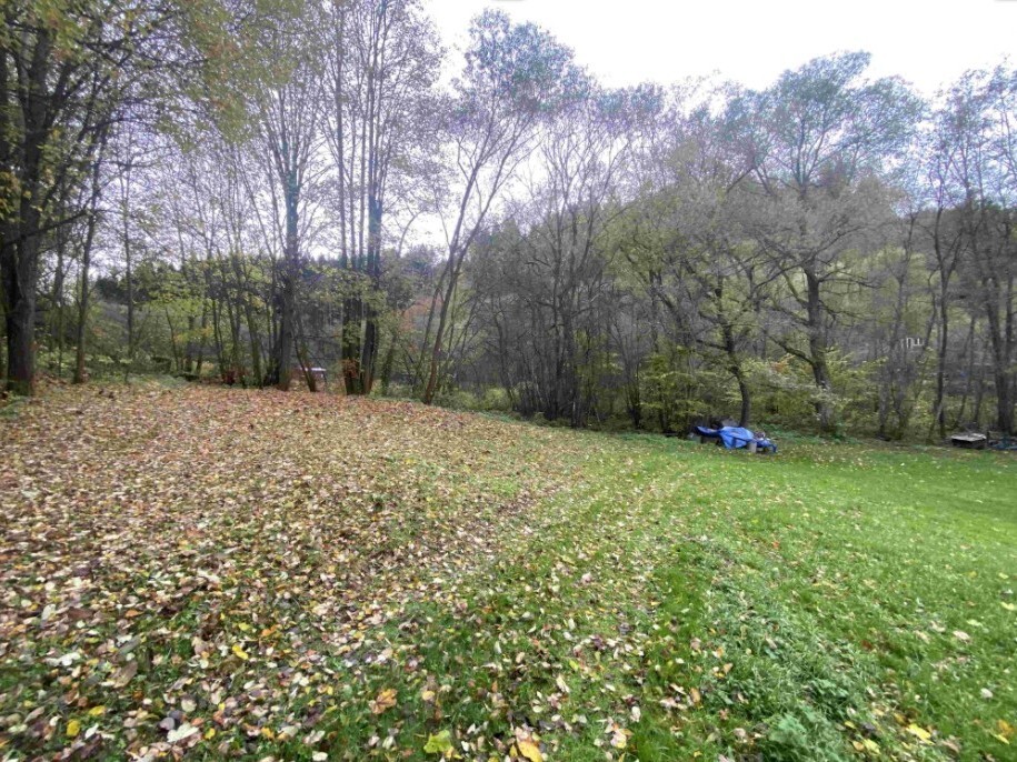 Pozemek o velikosti 1679m2, Chlum u Hartmanic