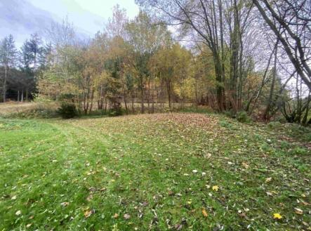 Prodej - pozemek, trvalý travní porost, 1 679 m²