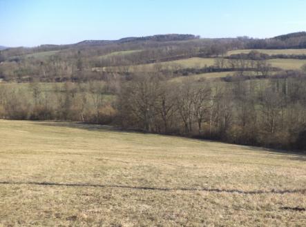 Prodej - pozemek, trvalý travní porost, 21 164 m²