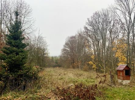 Prodej - pozemek pro bydlení, 1 770 m²