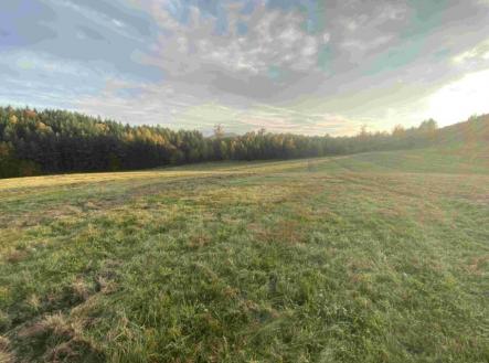 Prodej - pozemek, trvalý travní porost, 7 470 m²