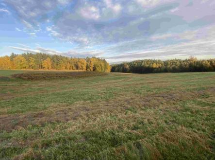 Prodej - pozemek, trvalý travní porost, 7 470 m²