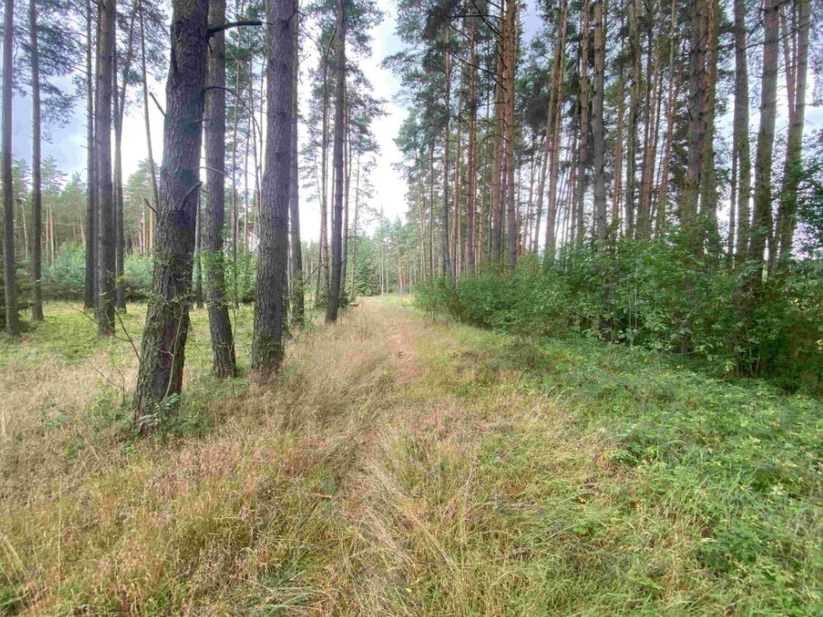 Pozemek o velikosti 1744m2, Tuněchody u Stříbra