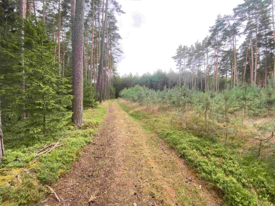 Pozemek o velikosti 1744m2, Tuněchody u Stříbra