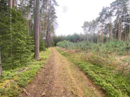 Prodej - pozemek, ostatní, 1 744 m²