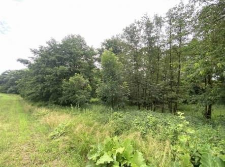 Prodej - pozemek, ostatní, 2 368 m²