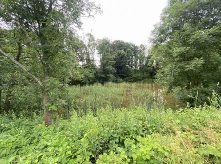 Prodej - pozemek, ostatní, 2 368 m²