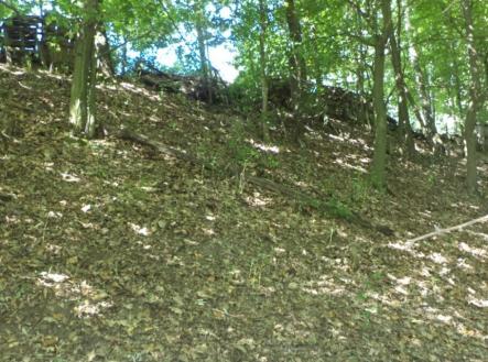 Prodej - pozemek, trvalý travní porost, 675 m²