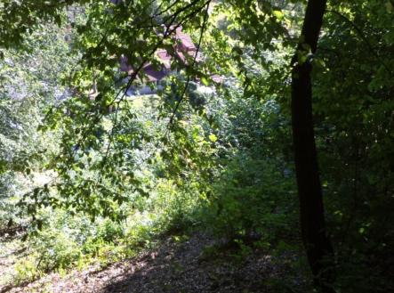 Prodej - pozemek, trvalý travní porost, 675 m²