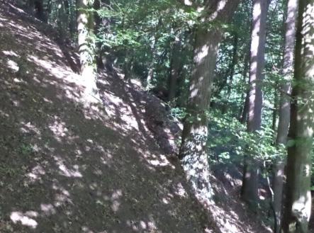 Prodej - pozemek, trvalý travní porost, 675 m²