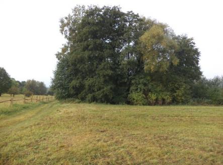 Prodej - pozemek, trvalý travní porost, 1 083 m²