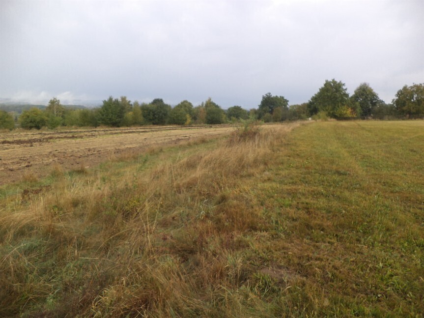Pozemek o velikosti 1083m2, Malíkov nad Nežárkou